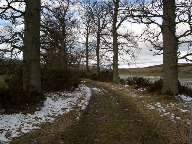 The Douglasfield Track