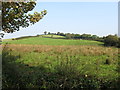 The south facing slope of a drumlin in the Townland of Corliss