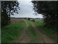 Farm track near Burringham South Grange