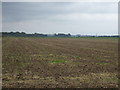 Farmland east of Carr Dyke Road