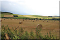 Fields near Towie