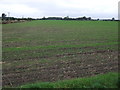 Farmland west of North Moor Lane