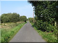 Teer Road crossing an area of wetland