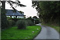 West Somerset : Country Lane