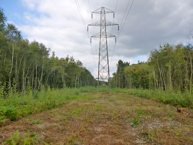 Power line MA through woodland