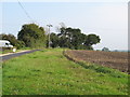 Arable land near Langford Road, Wickham Bishops