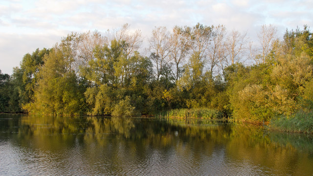 Gadwell Lake, Chigborough Lakes Nature... © Roger Jones :: Geograph ...