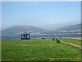 Waterside grassland and a shelter at Ardbeg Point