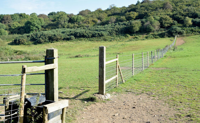 Fence and fields, Killynether, Newtownards (September 2014)