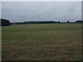 Farmland west of Scotter Road