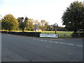 The village green at Charlwood