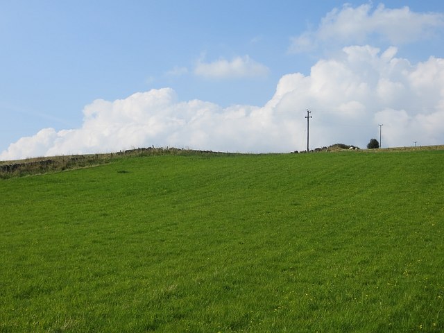 Grass field by Gartenbeg