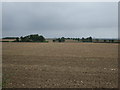 Farmland, Manor Farm