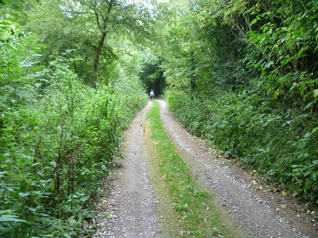 Track near Lambert Cottage Wood