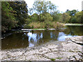 River Teviot below Hawick