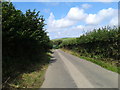 An empty lane, looking west