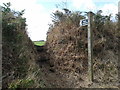 Footpath into a field