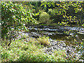 River Teviot above Hornshole Bridge