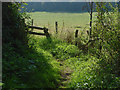 Footpath near Binscombe