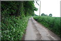 Footpath to Great Cansiron Farm