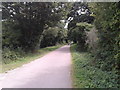 On the Camel Trail heading to Wadebridge