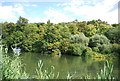 Wooded banks, River Thames