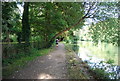 SU9083 : Thames Path by N Chadwick