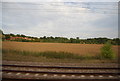 Farmland by the East Coast Main Line