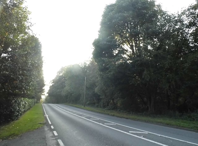 Dorking Road, Walton on the Hill