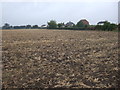 Farmland near East Stockwith