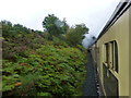 An SVR train enters the tunnel at Birchen Coppice