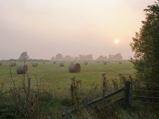 A misty September evening, Halstow Marshes (3)