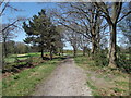 Footpath at Blackmoor Golf Club