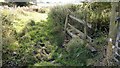 Footbridge on Hamps Way