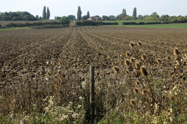 Farmland looking towards Cleat Hill