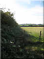 Footpath to Cleat Hill