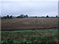 Farmland off Walkerith Road