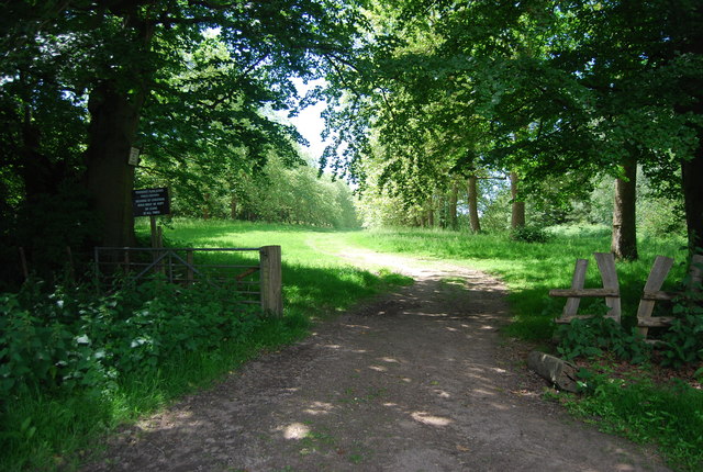Entering Penshurst Park