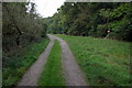 Bridleway to Southend Farm by the Great Early Grove