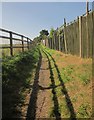 Footpath, Kilve