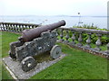 V9848 : Cannon, Bantry House (3) by Kenneth  Allen