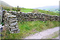 SD7199 : Dry stone walls at High Sprintgill by Roger Templeman