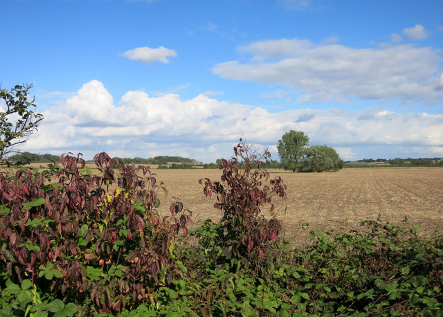 Farmland near Warborough