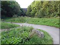 Around the bends on the trail to Conisbrough