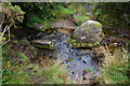 Ford on the Yes Tor Brook