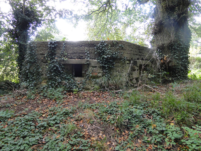 Type FW3/22 pillbox beside the road south east of Walsingham