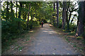 Wales Coast Path leaving Bangor