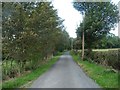 Hardings Lane, looking west past The Hollies