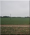 Farmland on the edge of Royston