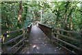 Path leading to Bishops Mill Road